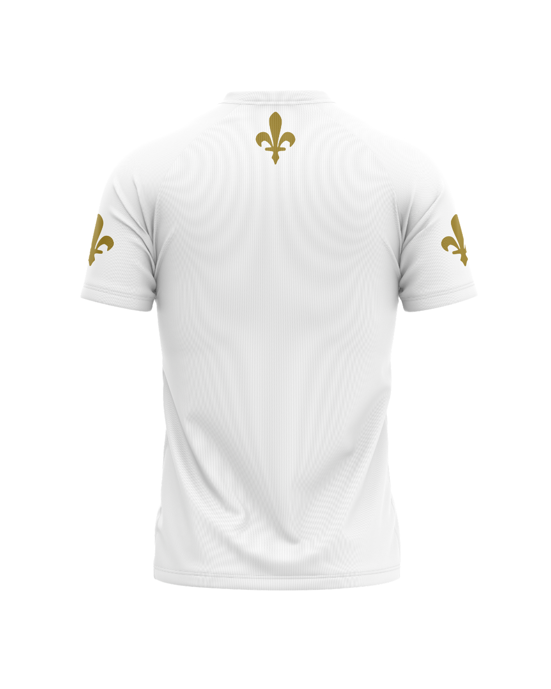 BOSNIA FOOTBALL SHIRT 2026